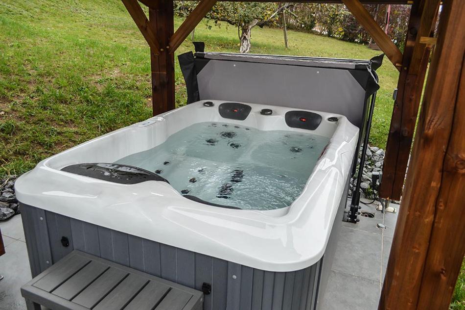 Chalet Les Camelias Spa Gerardmer Luaran gambar