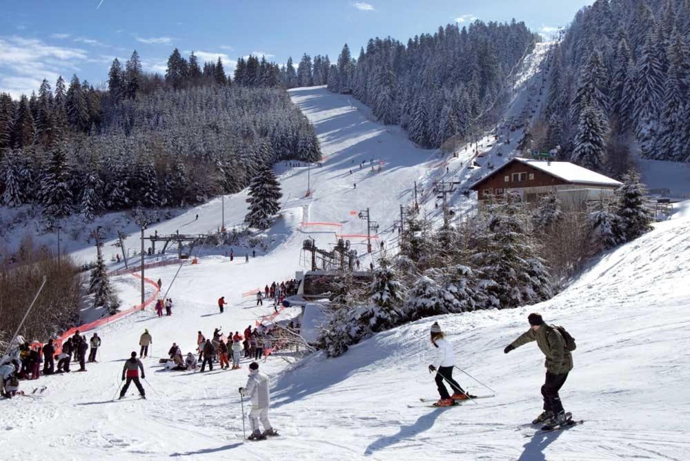 Chalet Les Camelias Spa Gerardmer Luaran gambar
